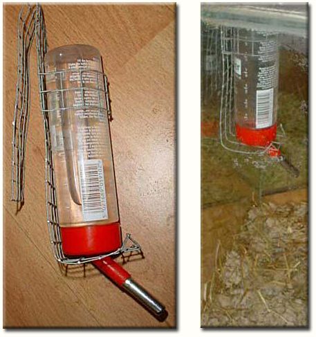 the finished holder in the gerbil tank