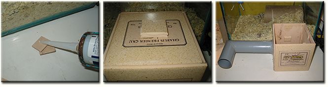 image showing instructions on how to make a gerbil burrow