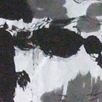 林在山