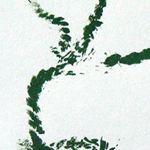 莫晞彤