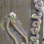 馮巧怡