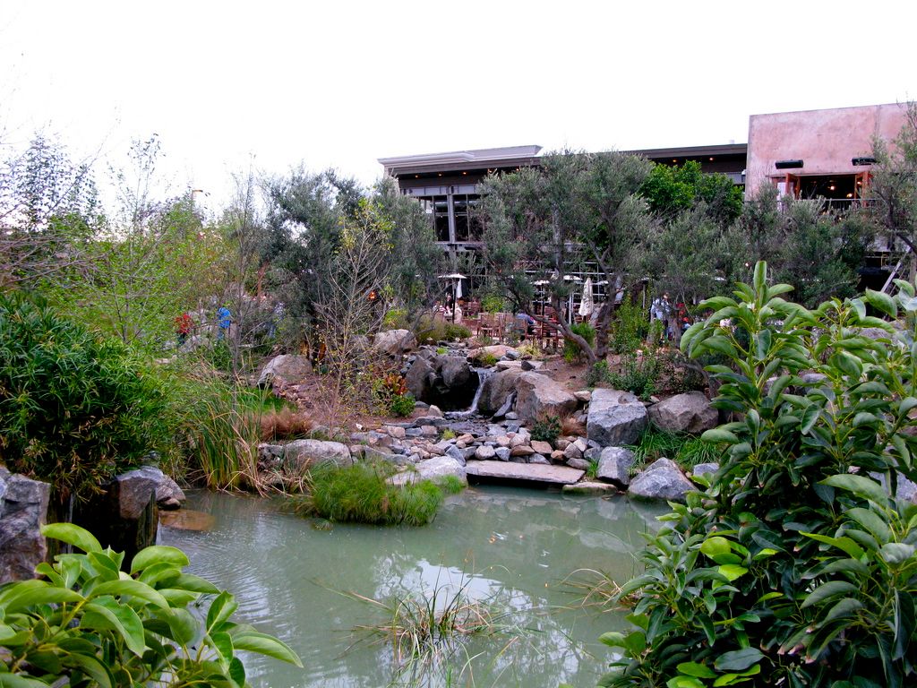 stone-brewery-beer-gardens-escondido-1_zps3bd1c046.jpg