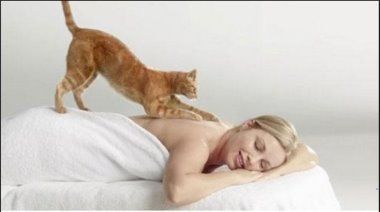 Cat yoga on woman's back