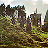photo 2342_zps833d41ed.png