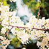  photo 43252_zps8f5c77ca.png