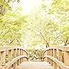  photo 5436_zps9f84d671.png