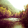  photo 6534_zps1aeda689.png