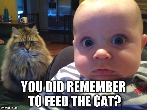 feed-the-cat_zpsg964m1ru.jpg