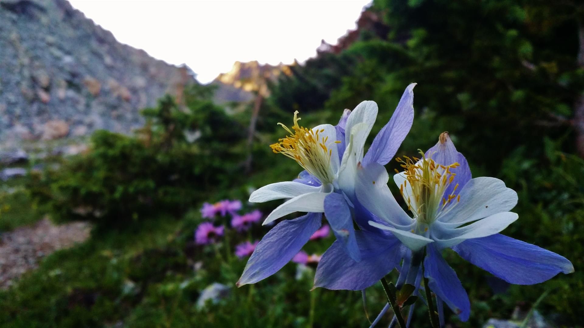 20140726_0706582Large_zps8030e30e.jpg