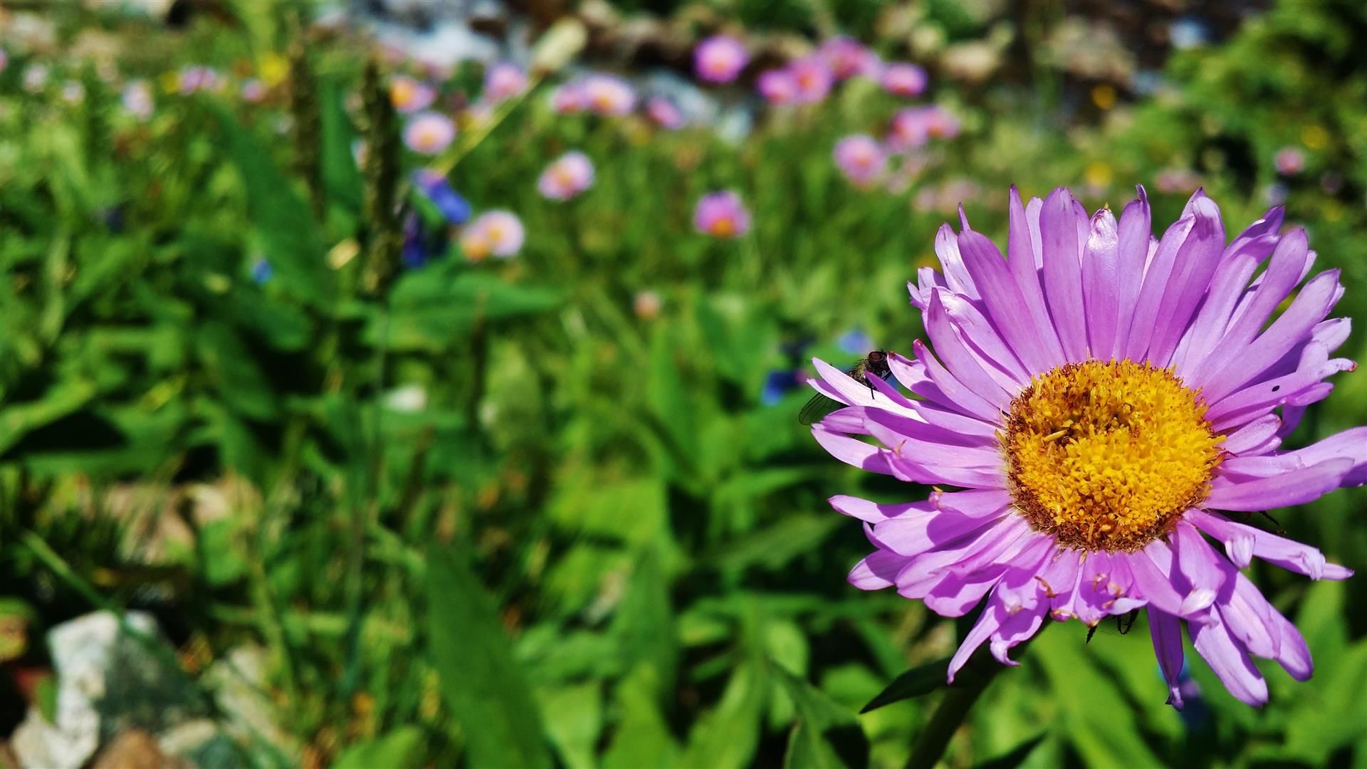 20140726_1246182Large_zpse063b94c.jpg