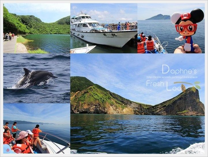 《頭城休閒旅遊達人來帶路》凱鯨號 龜山島 登島+繞島+賞鯨三合一豔陽奇航